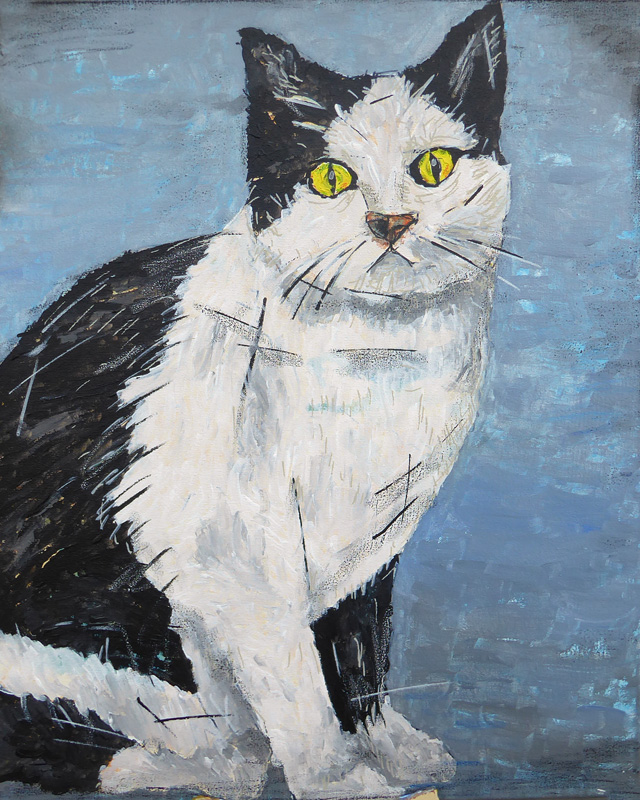 Katze Säm